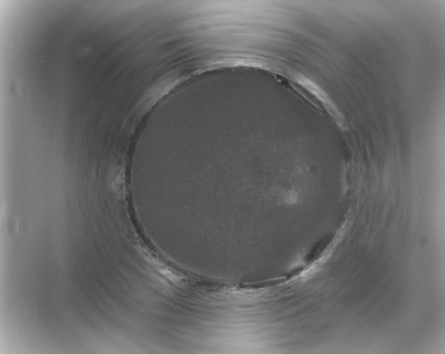 X0000071850977200607072257