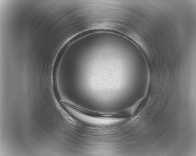 X0000071850980200607072257