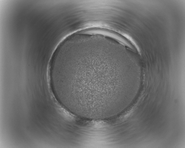 X0000071850983200607072257