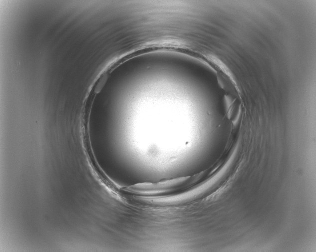 X0000071850989200607072257