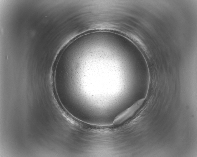 X0000071850990200607072257