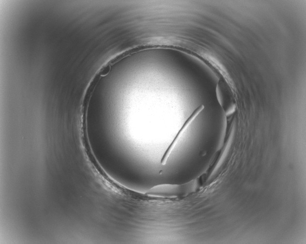 X0000071850992200607072257