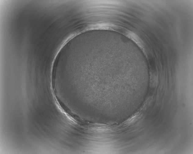 X0000071850994200607072257