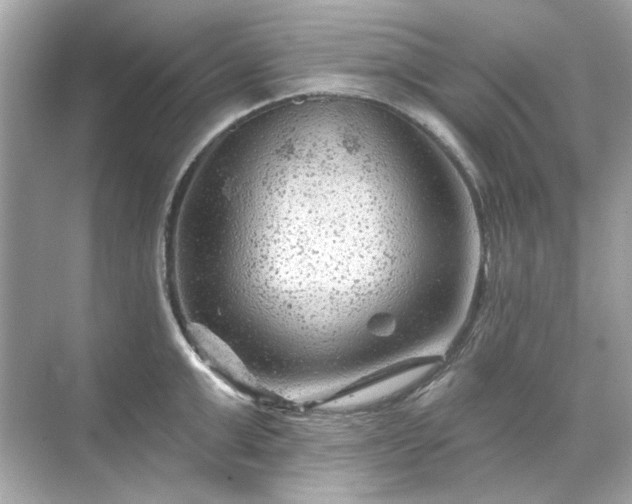 X0000071850999200607072257