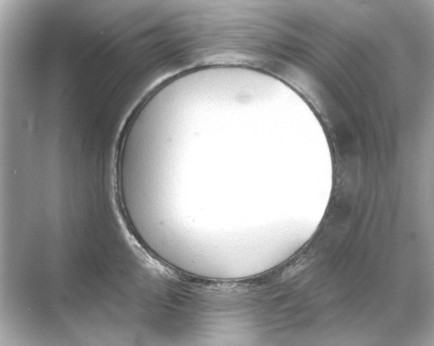 X0000071851000200607072257