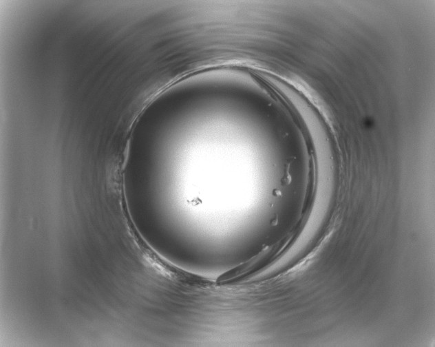 X0000071851001200607072256