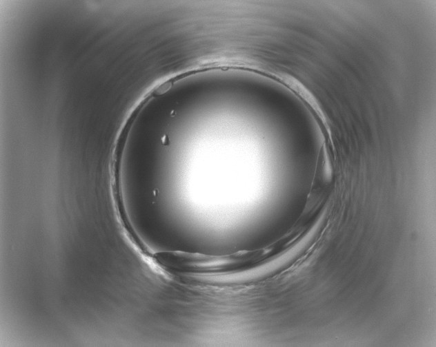 X0000071851005200607072256