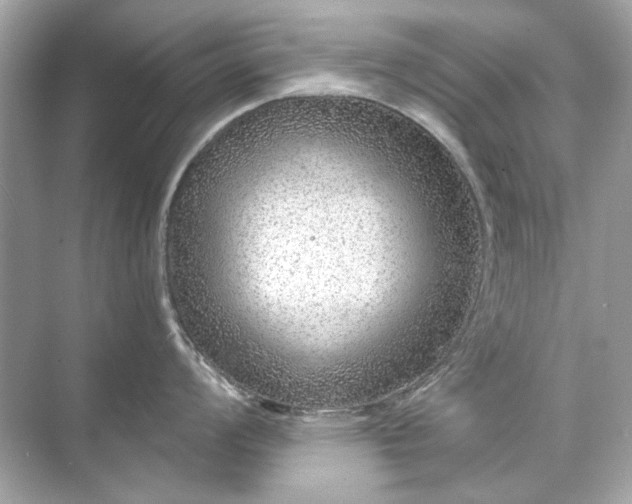 X0000071851008200607072256