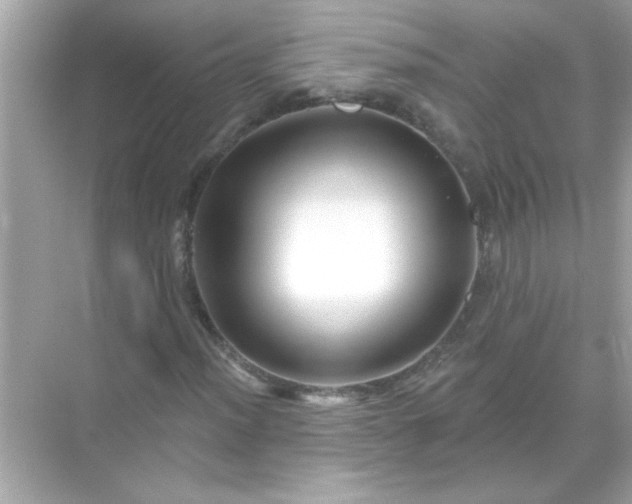 X0000071851012200607072256