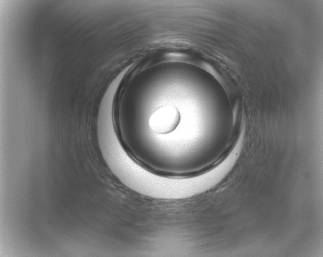 X0000071851014200607072256