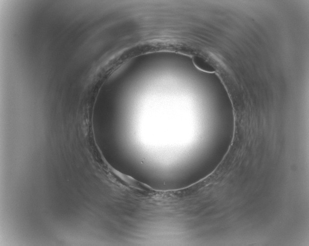 X0000071851015200607072256