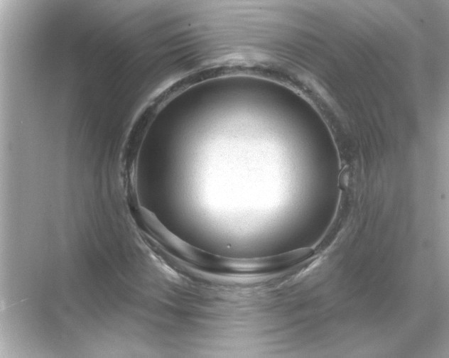 X0000071851018200607072256