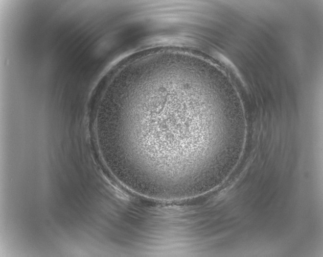 X0000071851019200607072256