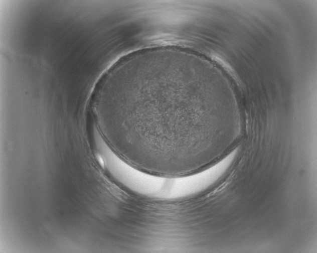 X0000071851023200607072256