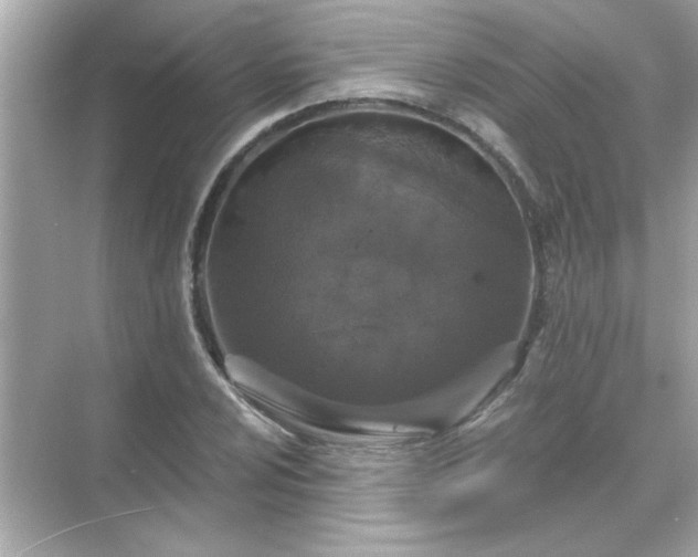 X0000071851024200607072256