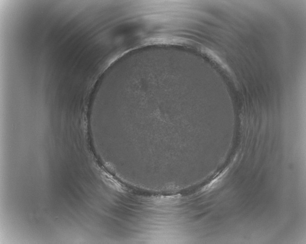 X0000071851025200607072256