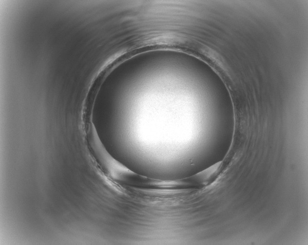 X0000071851026200607072256