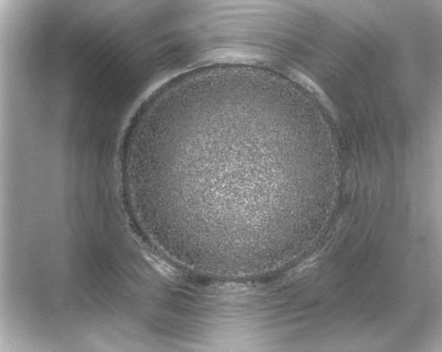 X0000071851027200607072256