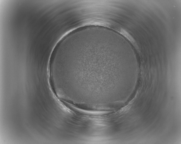 X0000071851028200607072256