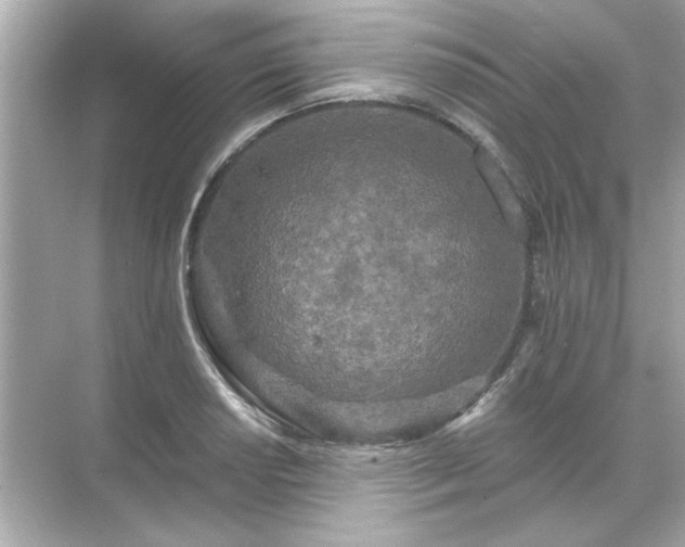 X0000071851034200607072256