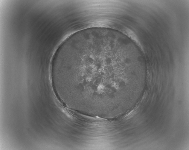 X0000071851035200607072256