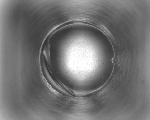 X0000071851036200607072256