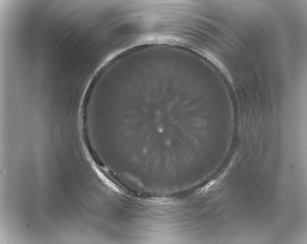 X0000071851037200607072256