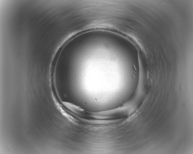 X0000071851038200607072256