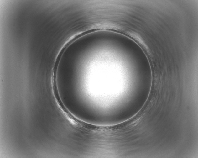 X0000071851040200607072256