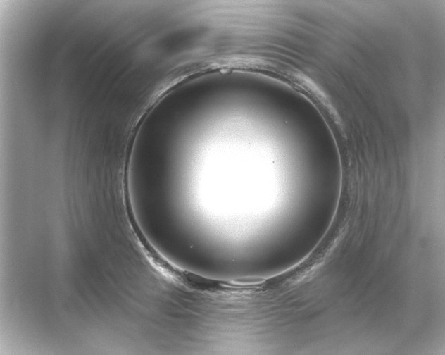 X0000071851041200607072256