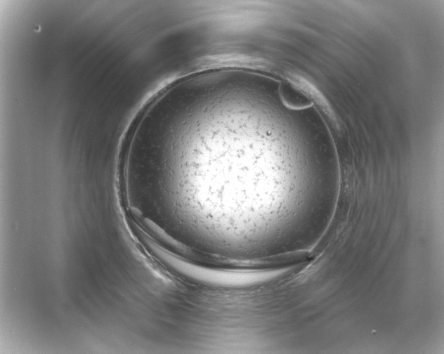 X0000071851043200607072256