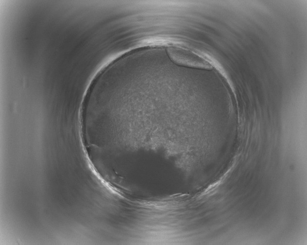 X0000071851045200607072256