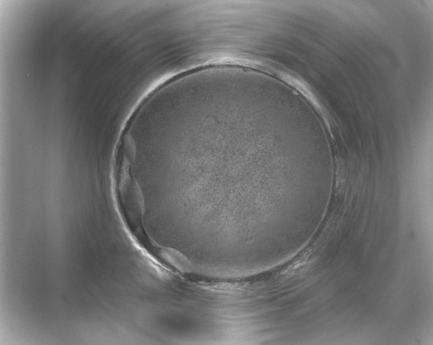 X0000071851048200607072256