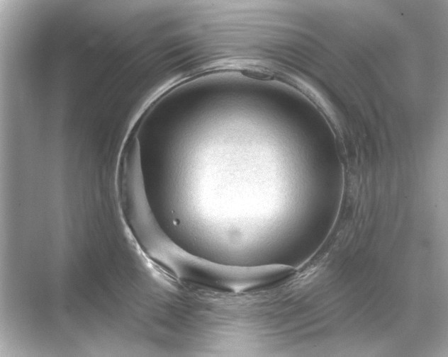 X0000071851050200607072256