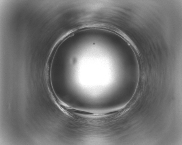 X0000071851053200607072256