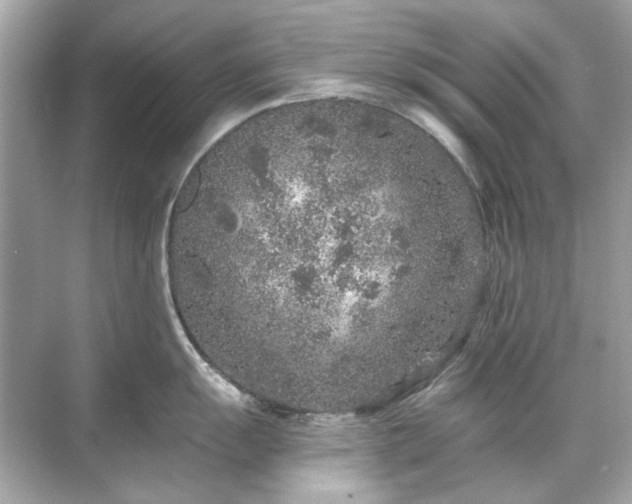 X0000071851055200607072256