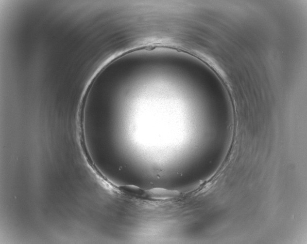 X0000071851056200607072256