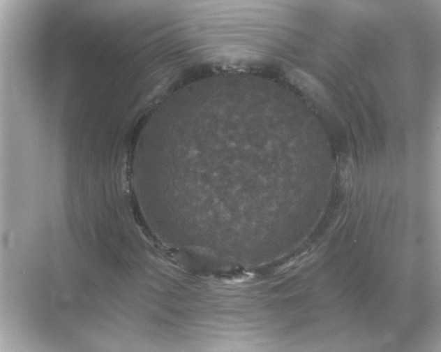 X0000071851060200607072255