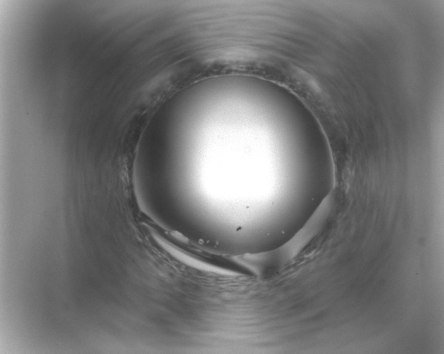 X0000071851062200607072255