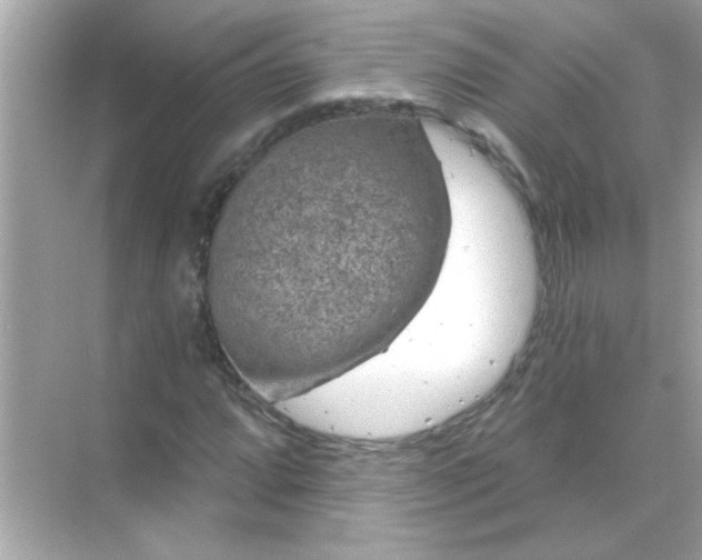 X0000071851064200607072255