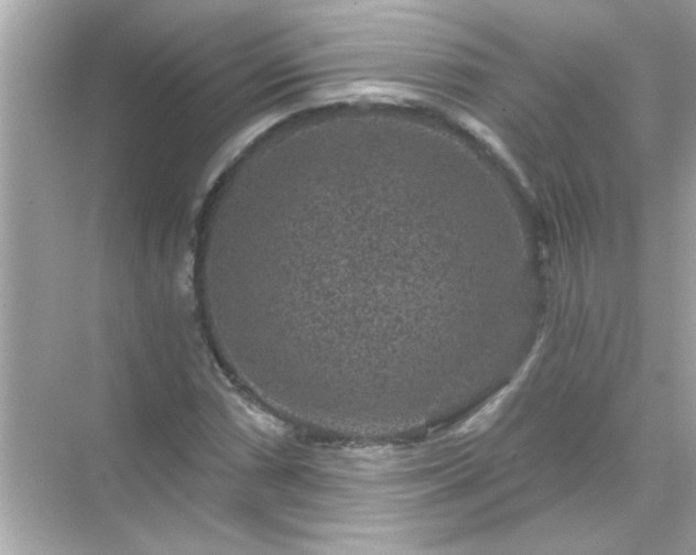 X0000071851066200607072255