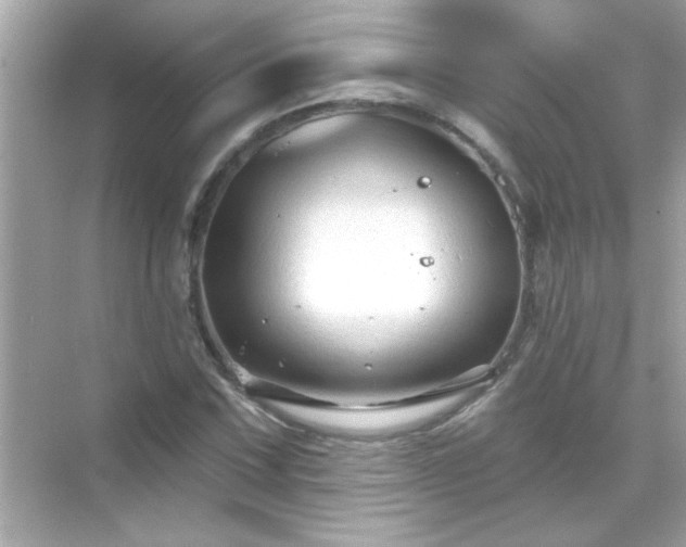 X0000071851067200607072255