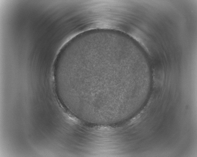 X0000071851070200607072255