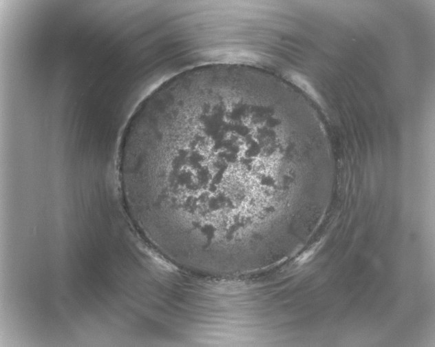 X0000071851071200607072255