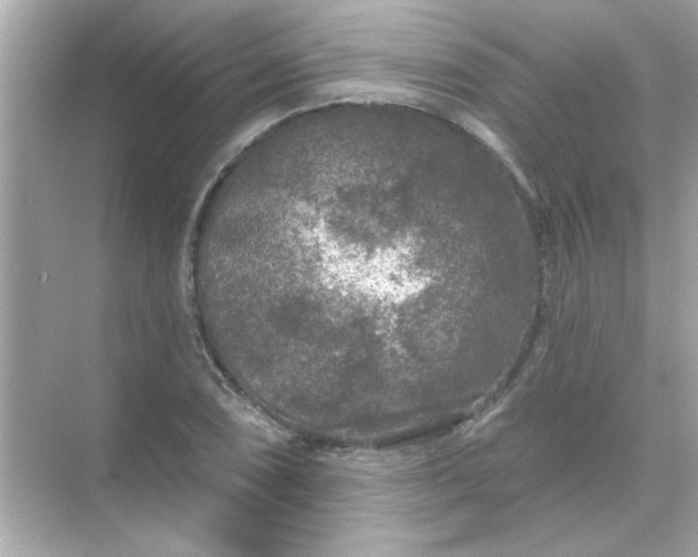 X0000071851074200607072255