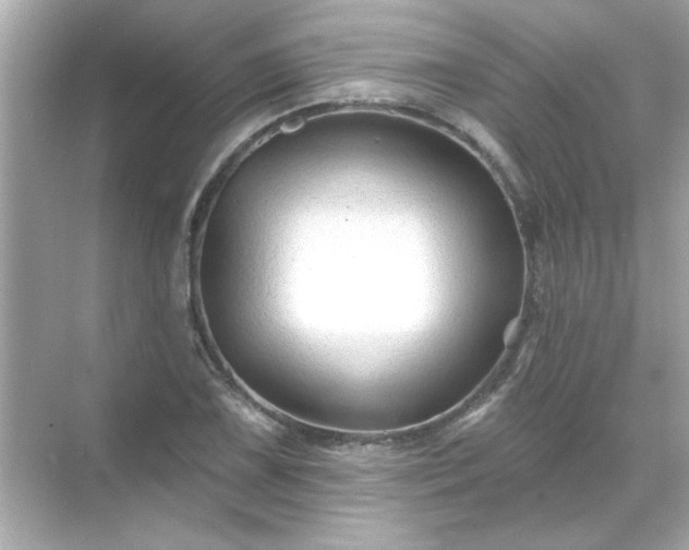 X0000071851075200607072255