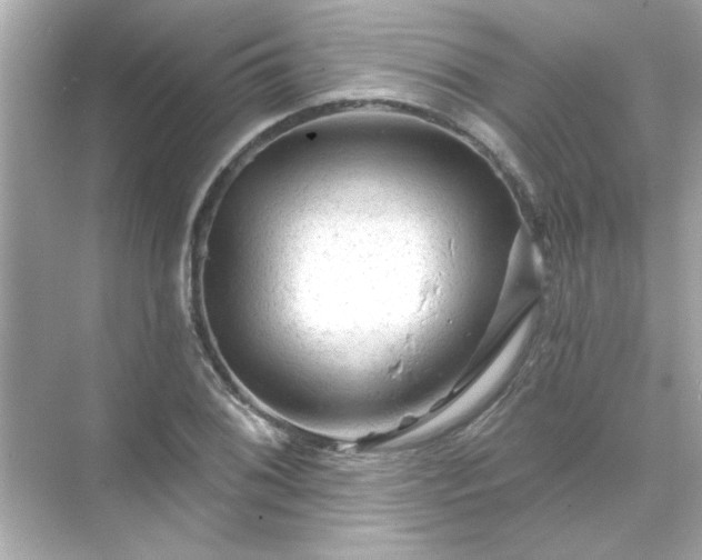 X0000071851076200607072255