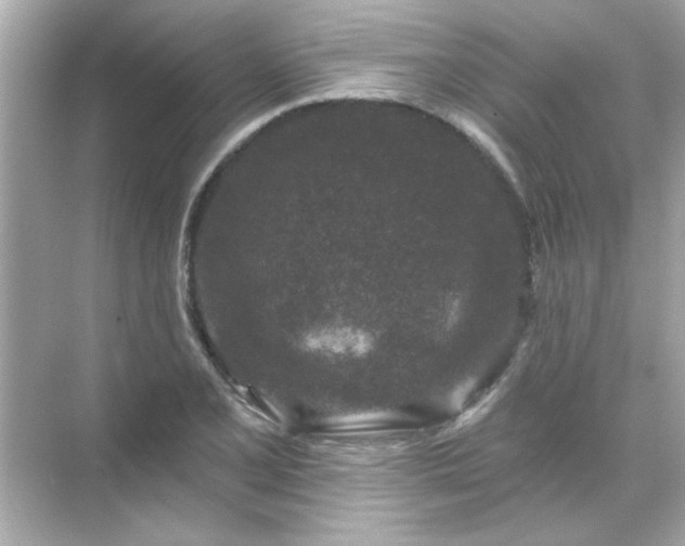 X0000071851077200607072255