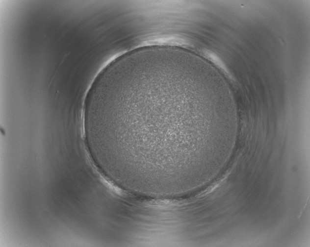 X0000071851079200607072255