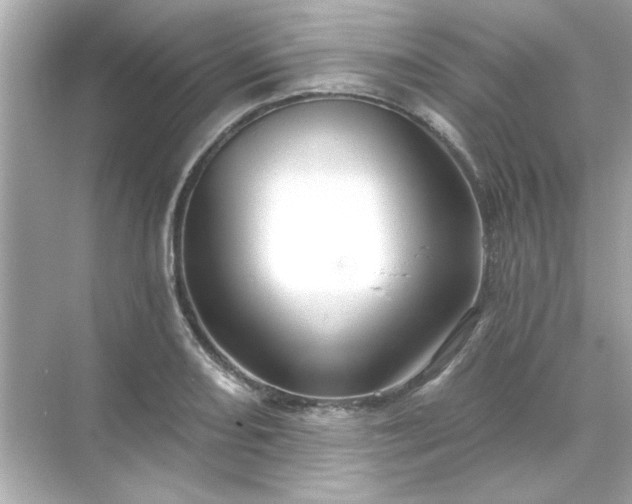 X0000071851082200607072255